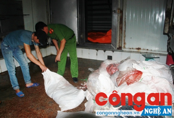 Thành lập Hội đồng tiêu hủy 1,3 tấn nội tạng động vật nhiễm khuẩn