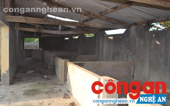 Cơ sở giết mổ gia súc tiền tỉ bỏ hoang hơn chục năm nay