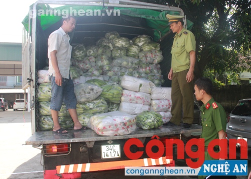 8 tấn rau củ quả nghi có nguồn gốc từ Trung Quốc