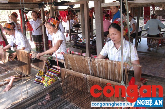 Nông dân chưa sống được bằng nghề