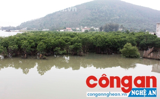Chủ động ứng phó với biến đổi khí hậu