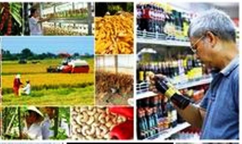 Chỉ đạo, điều hành của Chính phủ, Thủ tướng Chính phủ nổi bật tuần từ 10-14/10