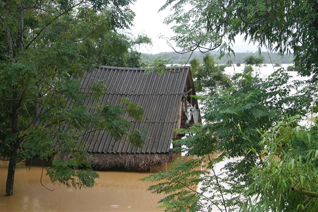 Hà Tĩnh:  Xã Phương Mỹ ngập trắng trong nước lũ