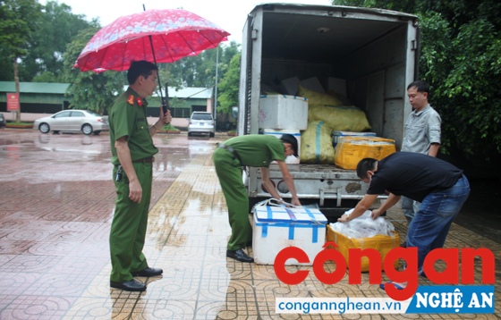 Thu giữ 2,7 tấn nội tạng không rõ nguồn gốc