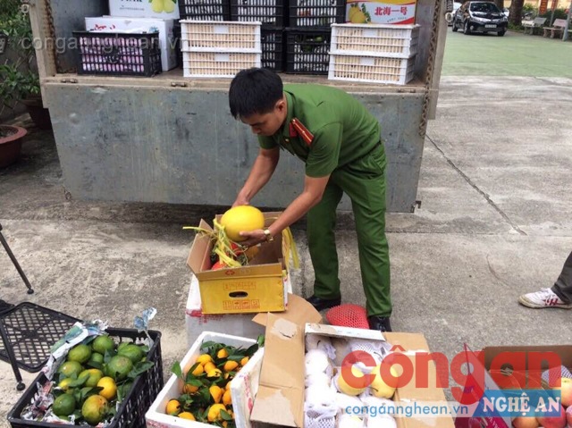 Phát hiện gần 2 tấn hoa quả không rõ nguồn gốc