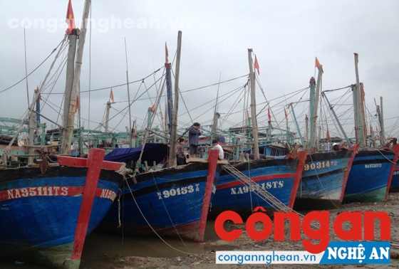 Tháo gỡ khó khăn để phát triển hậu cần nghề cá