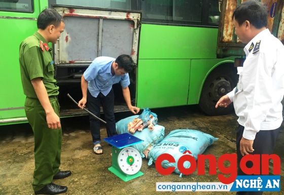 Thu giữ 207 kg da lợn bốc mùi hôi thối