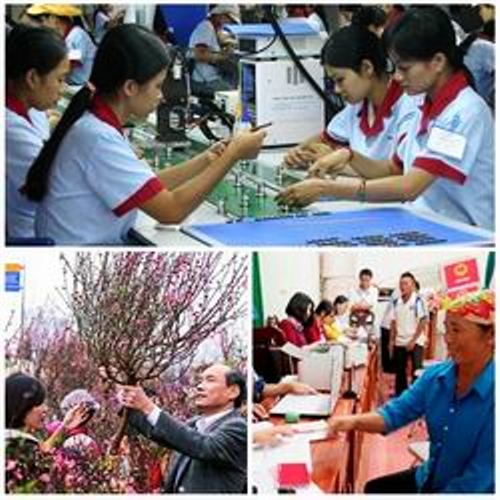 Chỉ đạo, điều hành của Chính phủ, Thủ tướng Chính phủ nổi bật tuần từ 14-18/11