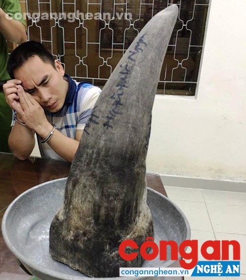 Đối tượng và tang vật bị tạm giữ