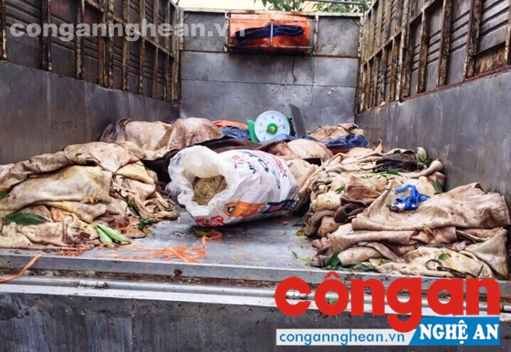Thu giữ hơn 3 tấn mỡ động vật và da bò đã bốc mùi hôi thối