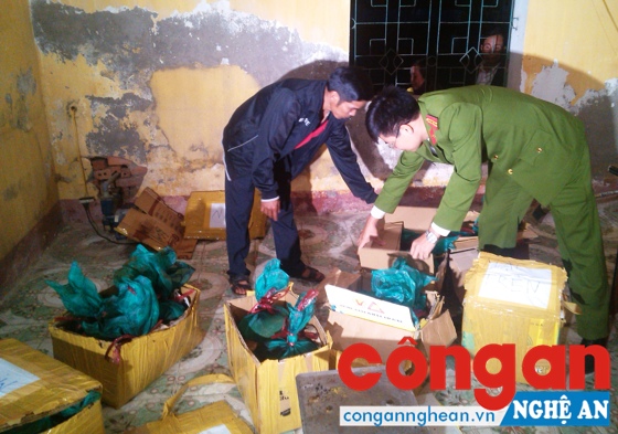 Vận chuyển trái phép 60 kg tê tê