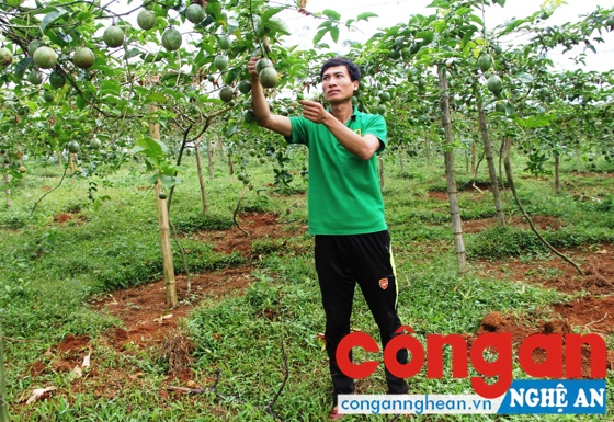 Chú trọng 'bài toán' đầu ra cho nông sản