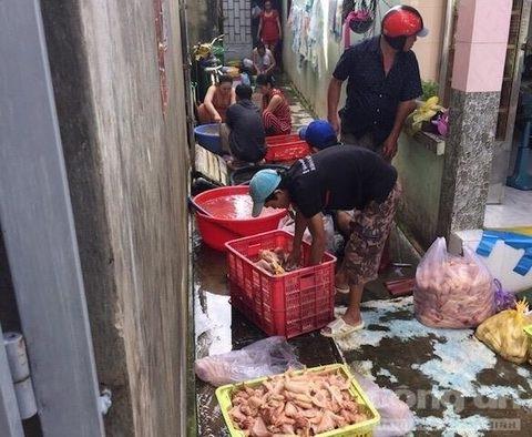 Hãi hùng cơ sở ướp gà bằng hàn the
