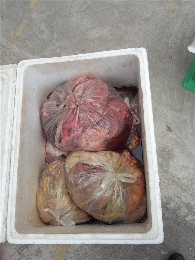 Vận chuyển nội tạng bốc mùi hôi thối