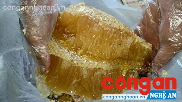 Bầu mật được lấy từ tổ ong sau đó gói trong túi nilon, sáp và mật