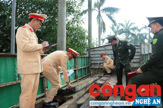 Phát hiện xe tải vận chuyển gỗ lậu
