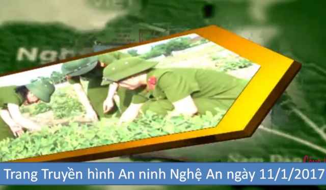 Trang Truyền hình An ninh Nghệ An ngày 11/1/2017