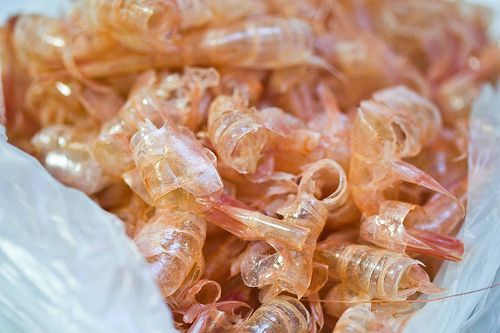 Sản xuất 'túi môi trường' từ vỏ tôm
