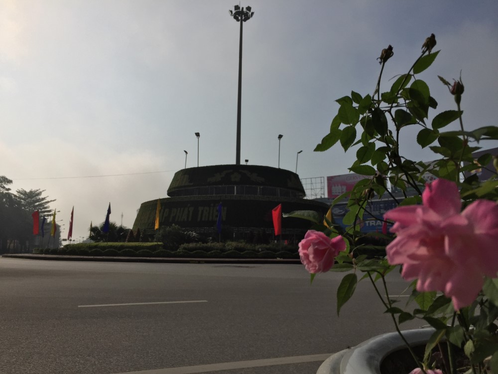Tươi tắn trong nắng xuân