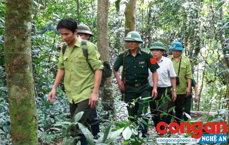 Chung một màu cờ