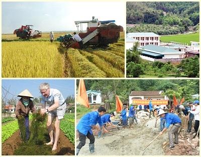 Xây dựng nông thôn mới: Tập trung bảo đảm các tiêu chí 'mềm'