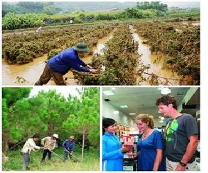 Chính sách mới có hiệu lực từ tháng 2/2017