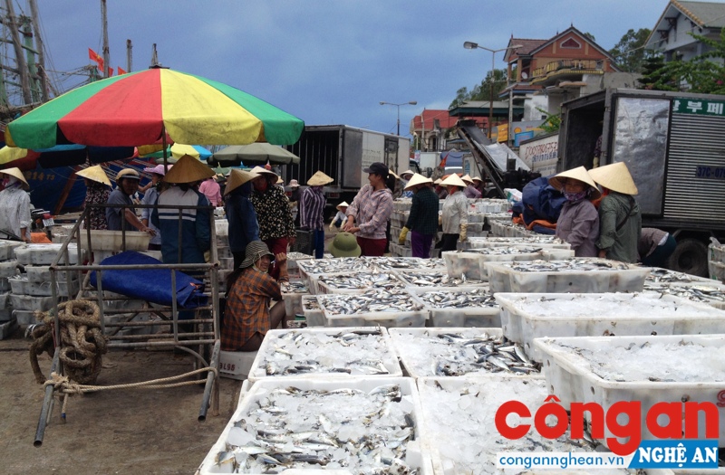 Vượt sóng gió, kiên cường bám biển