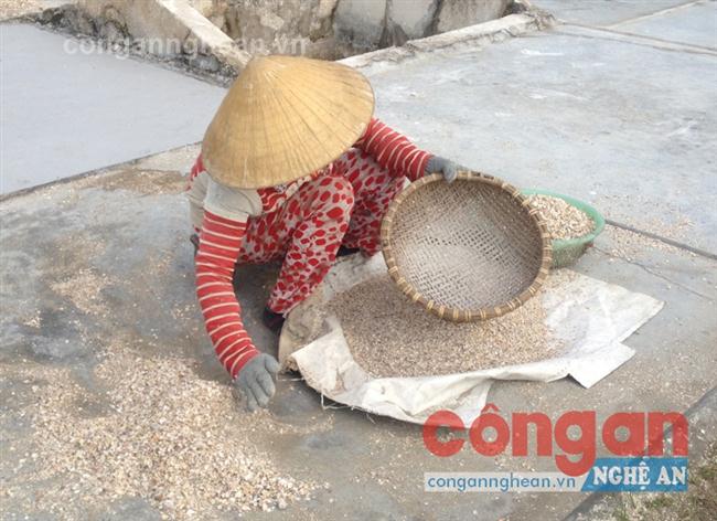 Nghệ An có 12 xã bãi ngang ven biển đặc biệt khó khăn