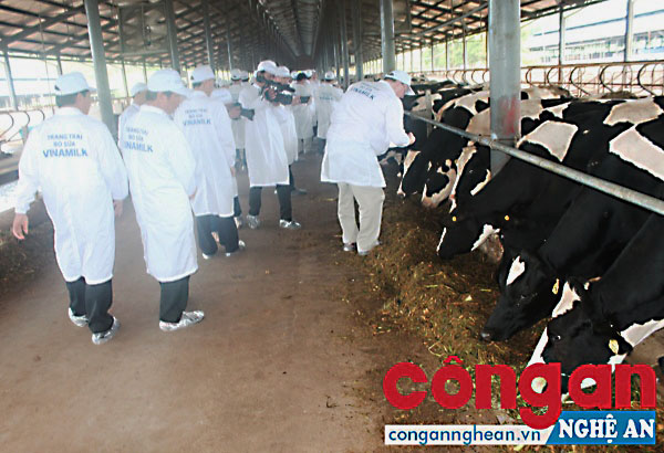 Đẩy mạnh thu hút đầu tư vào lĩnh vực nông nghiệp
