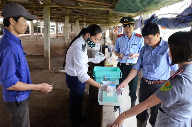Thực hiện hiệu quả năm cao điểm hành động AT VSTP