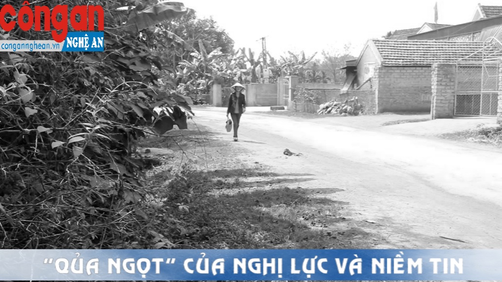 'Quả ngọt' của nghị lực và niềm tin