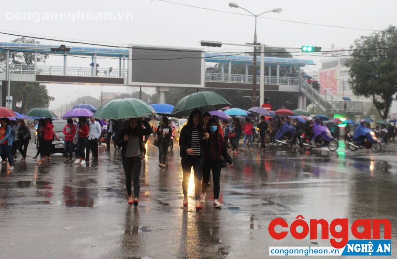 Sinh viên ngang nhiên băng qua đường khiến tình trạng ách tắc cục bộ thường xảy ra tại ngã tư Đại học Vinh