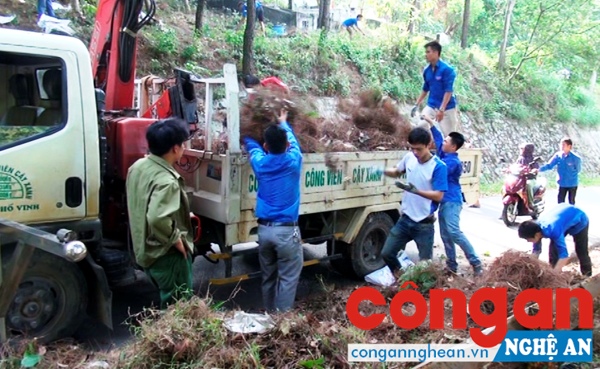 Triển khai phòng cháy, chữa cháy rừng năm 2017