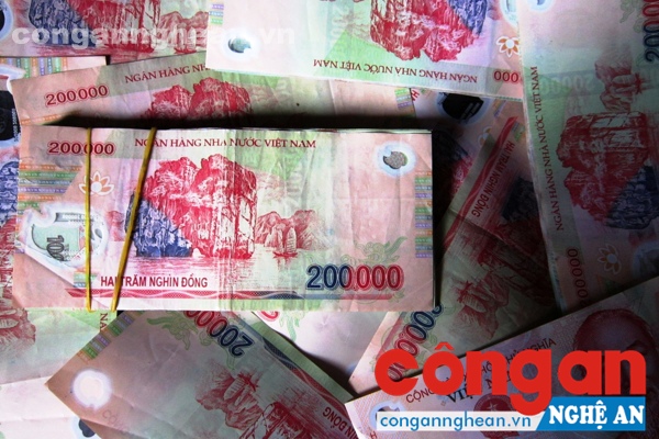 Tang vật bị thu giữ