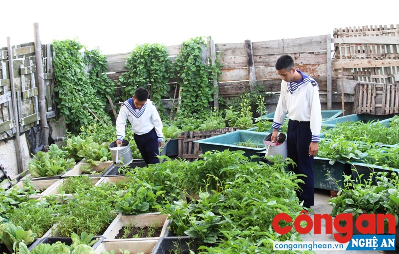 Tổ quốc nơi đầu sóng (Kỳ cuối)