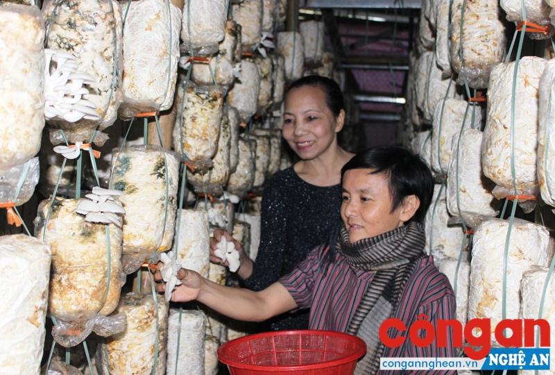 Đảm bảo an toàn thực phẩm: Phải xuất phát từ gốc
