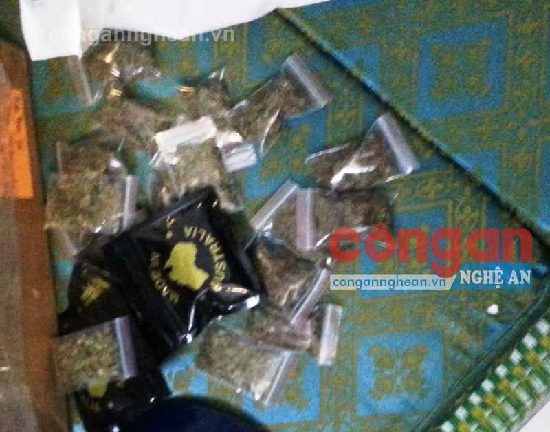Số cần sa Tiến giấu tại phòng trọ