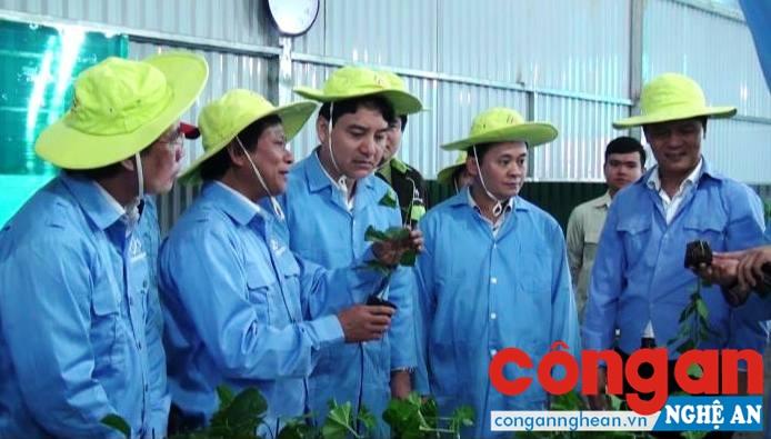 Đồng chí Nguyễn Đắc Vinh, Ủy viên TW Đảng, Bí thư Tỉnh ủy kiểm tra các mô hình kinh tế tại huyện Quế Phong (tháng 3/2017)