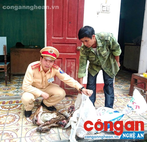 CSGT bắt vụ vận chuyển 36kg thịt khỉ