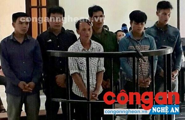 Bản án thích đáng cho 6 bị cáo về hành vi khai thác rừng trái phép