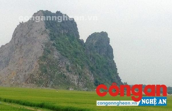 Lèn Vũ Kỳ có nguy cơ bị “xóa sổ”