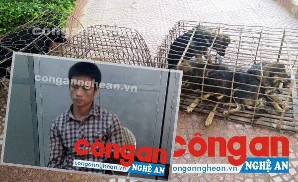 Bắt đối tượng trộm chó