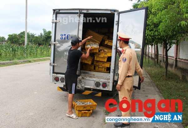 Lực lượng Công ann kiểm tra số thực phẩm bẩn