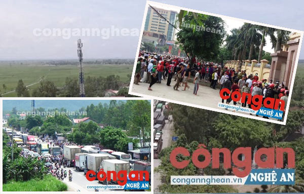 Bài 1: Khi Linh mục Nguyễn Đình Thục 'cố đấm ăn xôi'