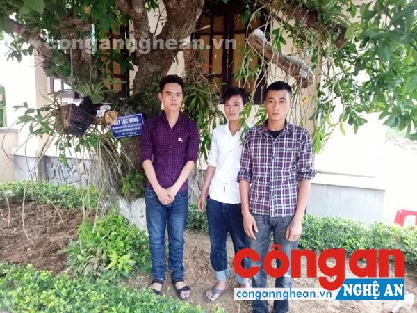 Nhóm đối tượng chuyên trộm phong lan bị bắt