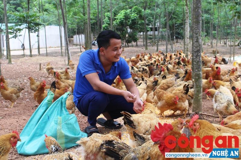 Chính sách hỗ trợ sản xuất nông nghiệp do thiên tai, dịch bệnh