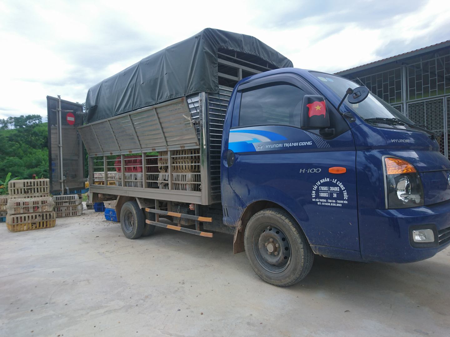 Xe tải chở 350 con gà không rõ nguồn gốc xuất xứ