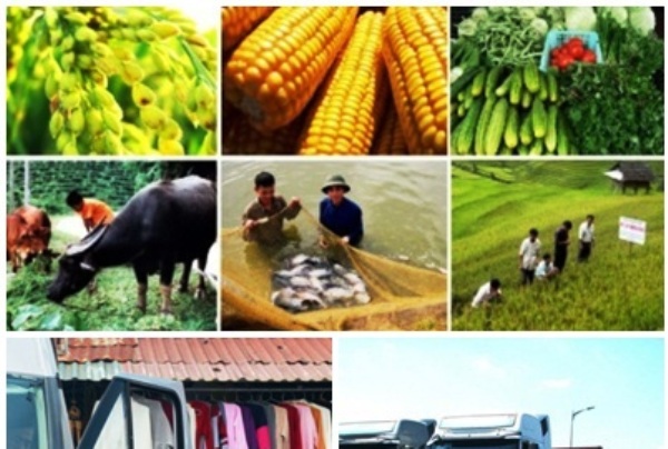 Chỉ đạo, điều hành của Chính phủ, Thủ tướng Chính phủ nổi bật tuần từ 26-30/6