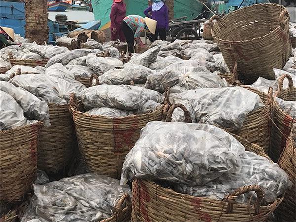 Những thúng cá chờ xuất bến