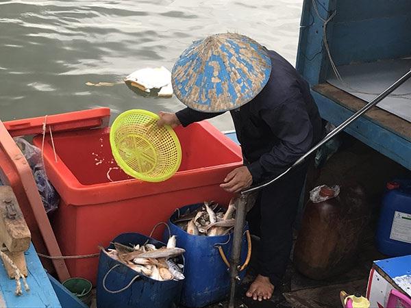Các tàu nhỏ thô sơ chỉ đánh bắt được những loại hải sản nhỏ.